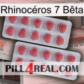 Rhinocéros 7 Bêta 19